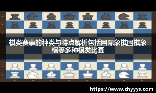 棋类赛事的种类与特点解析包括国际象棋围棋象棋等多种棋类比赛
