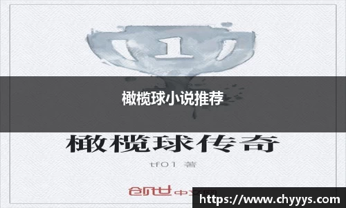 橄榄球小说推荐
