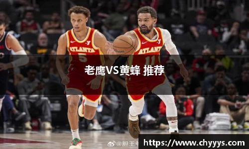 老鹰VS黄蜂 推荐