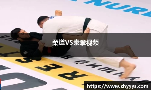 柔道VS泰拳视频