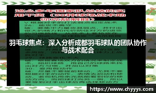 羽毛球焦点：深入分析成都羽毛球队的团队协作与战术配合