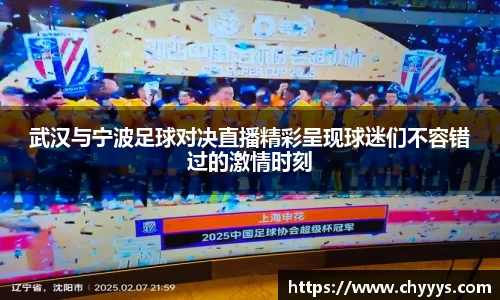 武汉与宁波足球对决直播精彩呈现球迷们不容错过的激情时刻